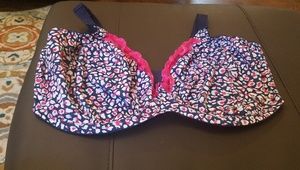 Elomi Multi-Colored Bra in a Rare Size